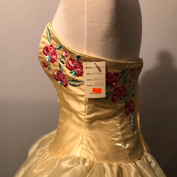 Quinceañera/ Prom Dress - Picture 4 of 4